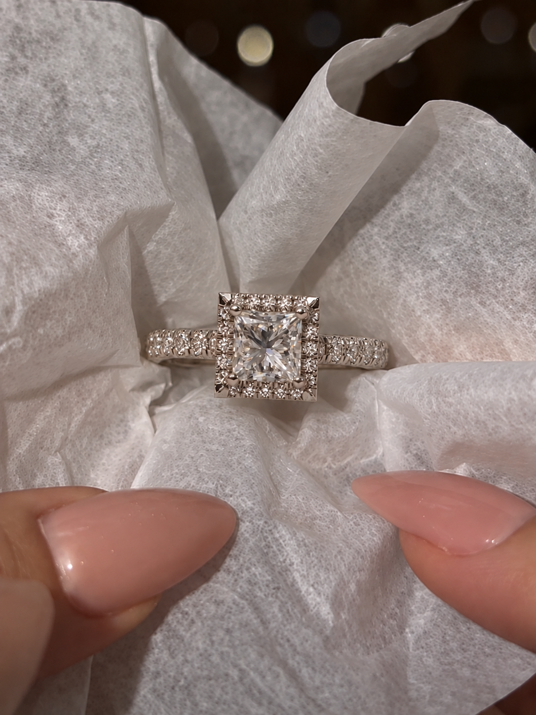 Princess Lab Grown Diamond Engagement Ring Cathedral Halo 14K White Gold Pave Band